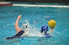WWPolo vs CC  Wheaton College Women’s Water Polo compete in their sports inaugural match vs Connecticut College. - Photo By: KEITH NORDSTROM : Wheaton, water polo, inaugural